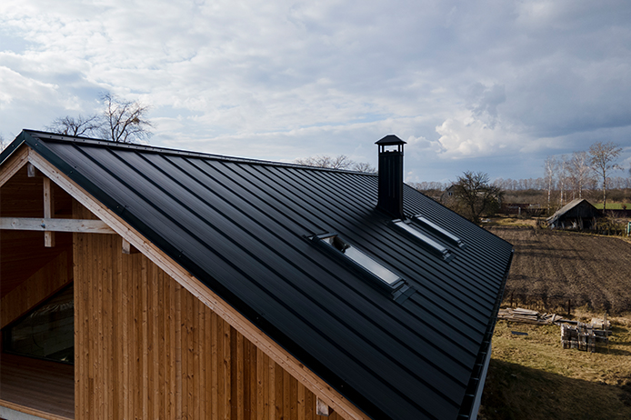 Roof Snapshot preview